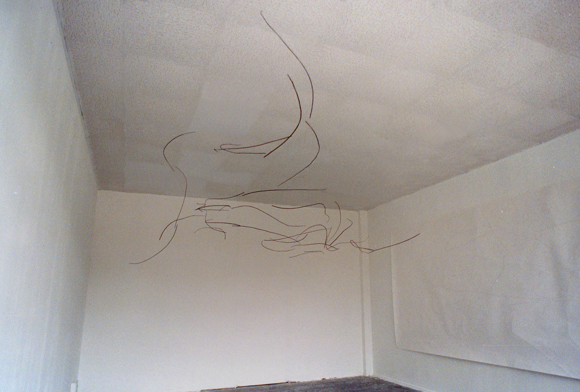 <i>dessillement 2</i>, 2004, dessin/installation, tiges de jeune saule, 300x400x300cm