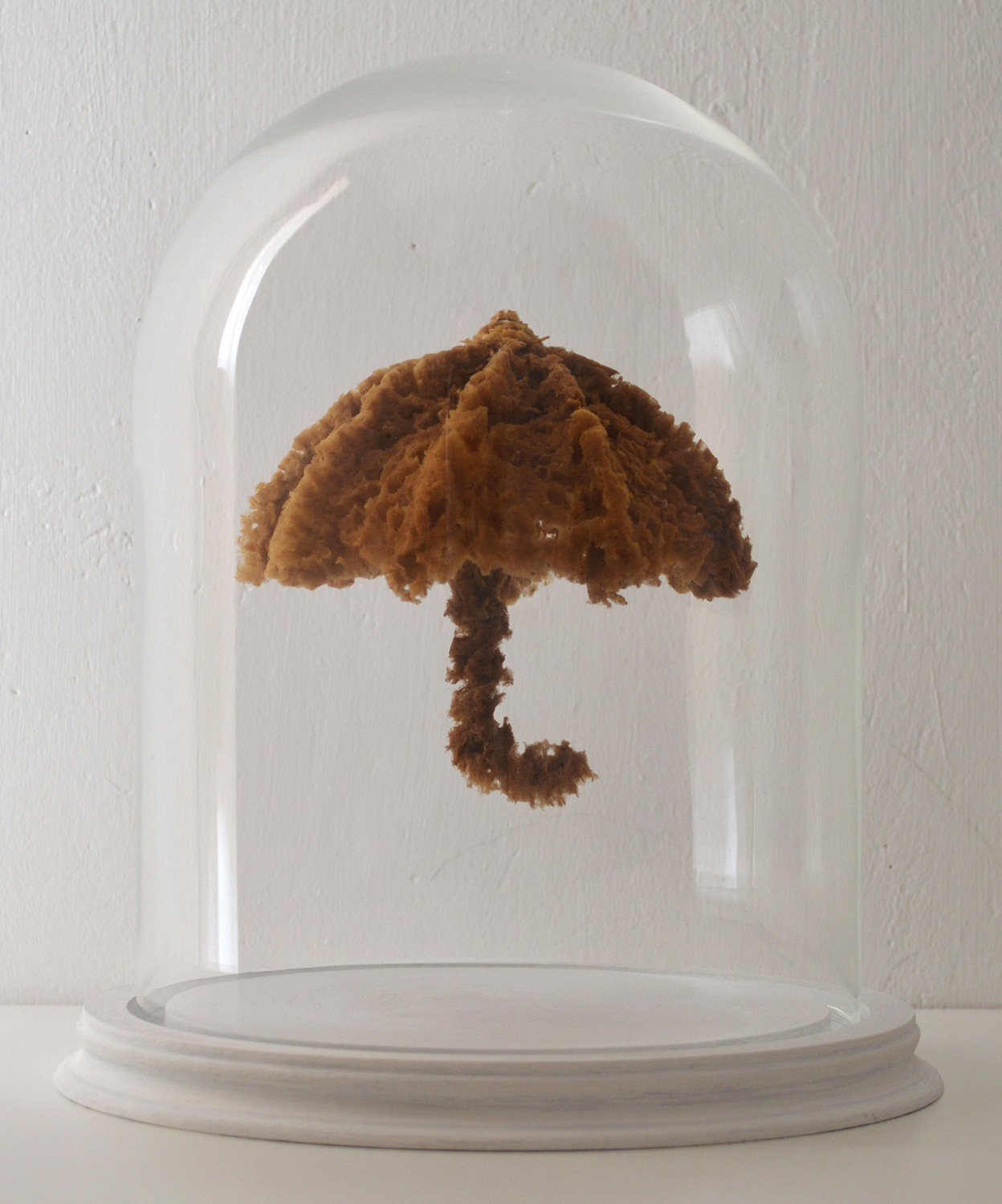 <i>spongia crisis</i>, 2013, scultpure - éponge de mer, verre et bois, 26x31cm